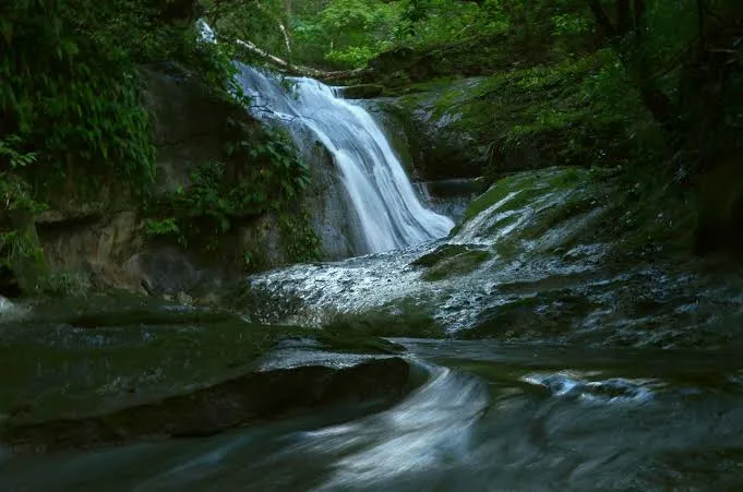 Parque Nacional Amboró - fotografía 1