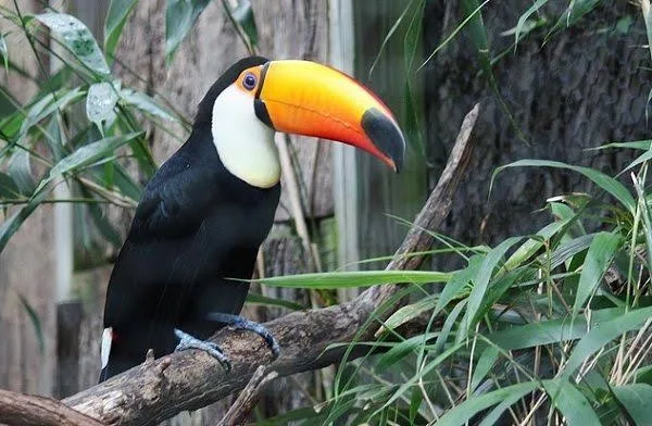 Biocentro Güembé - fotografía 2
