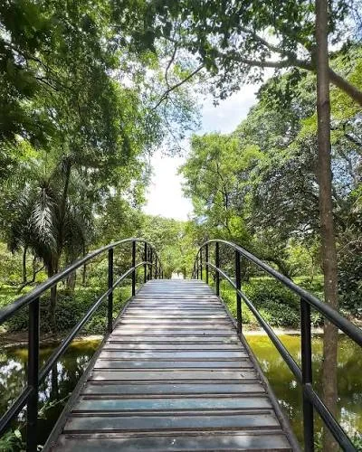 Jardín Botánico Municipal - fotografía 2