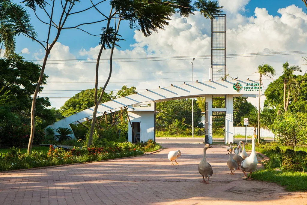 Jardín Botánico Municipal - fotografía 3