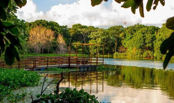 Jardín Botánico Municipal - fotografía 1
